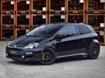 Abarth Punto Evo Scorpione 2011 года